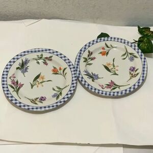 2 AMERICAN ATELIER ELIZABETH 5020 salad Plate 8 1/8” Granny Core Floral  A2